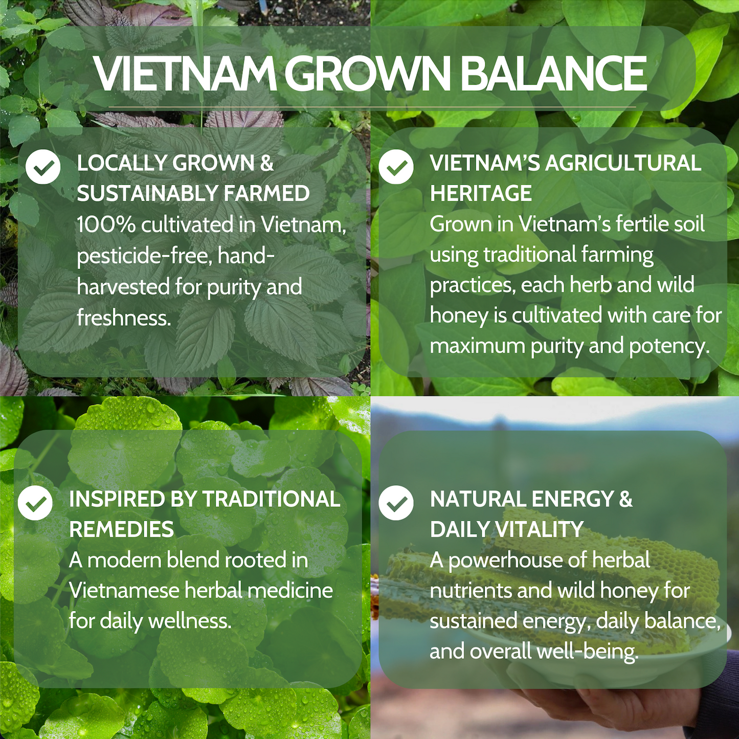 Smurfkit®Centella Balance 4-in-1 | Inspired by Traditional Remedies