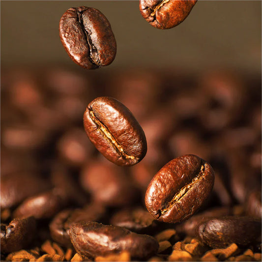 Robusta Coffee: Vietnam’s Leading Coffee Export